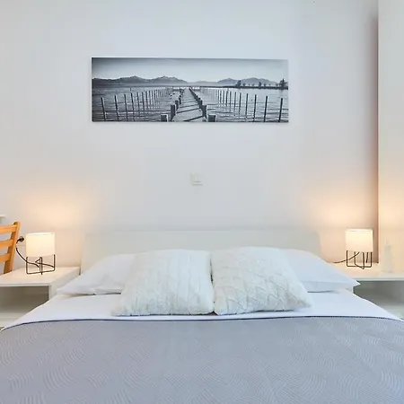 Apartment Palm Tree
