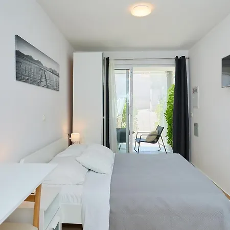 Apartment Palm Tree *