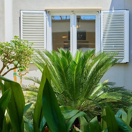 Palm Tree Apartment *